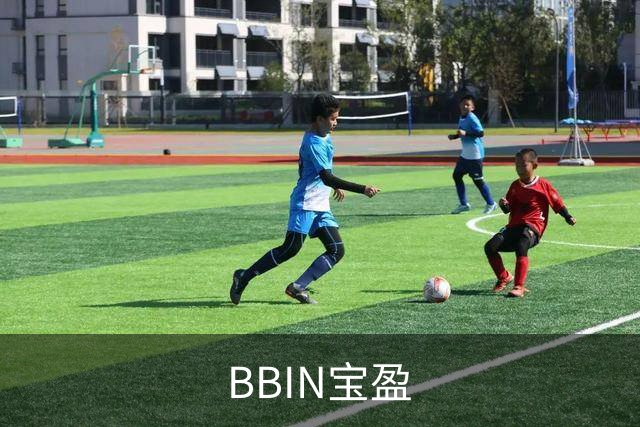 BBIN宝盈公司简介